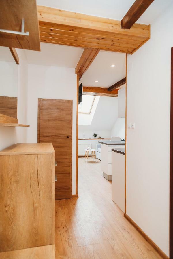 Center City Charming Loft Apartment โกชิเซ ภายนอก รูปภาพ